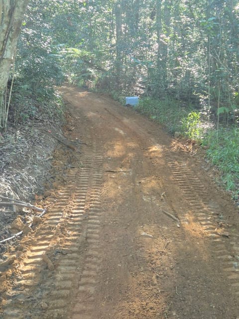 Freshly cut dirt access track through bushland with machine track marks