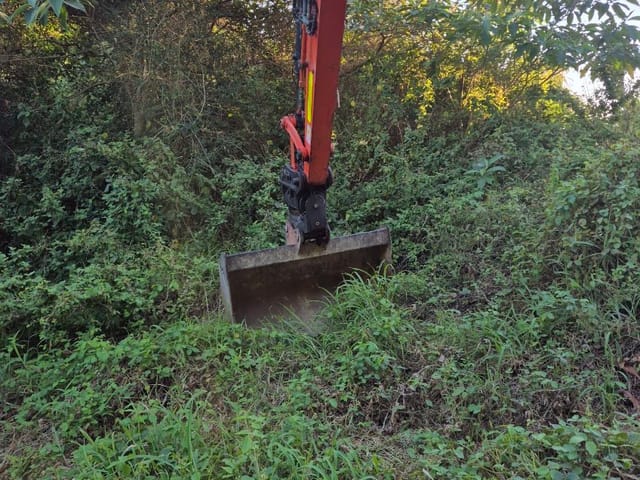 Kubota excavator arm and bucket clearing dense overgrown scrub and long grass