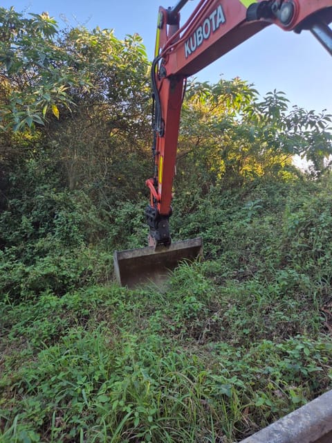 Kubota excavator arm and bucket clearing dense overgrown scrub and long grass